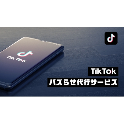 TikTok運用代行・コンサルティングサービスの商材