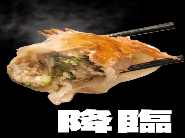冷凍餃子