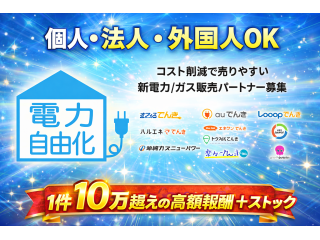 未経験でも売りやすい「新電力」「ガス」パートナー募集！トスのみも可能！ - New Island株式会社