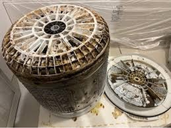 洗濯機分解清掃業