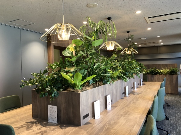 観葉植物レンタル事業「グリーンポケット」のFC募集！のキャッチ画像（4）