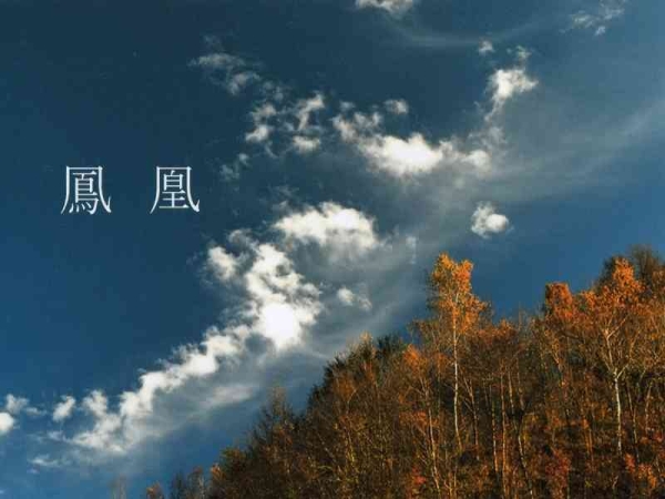 インテリアフォトのキャッチ画像